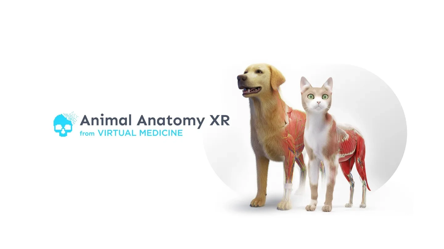 Animal Anatomy XR