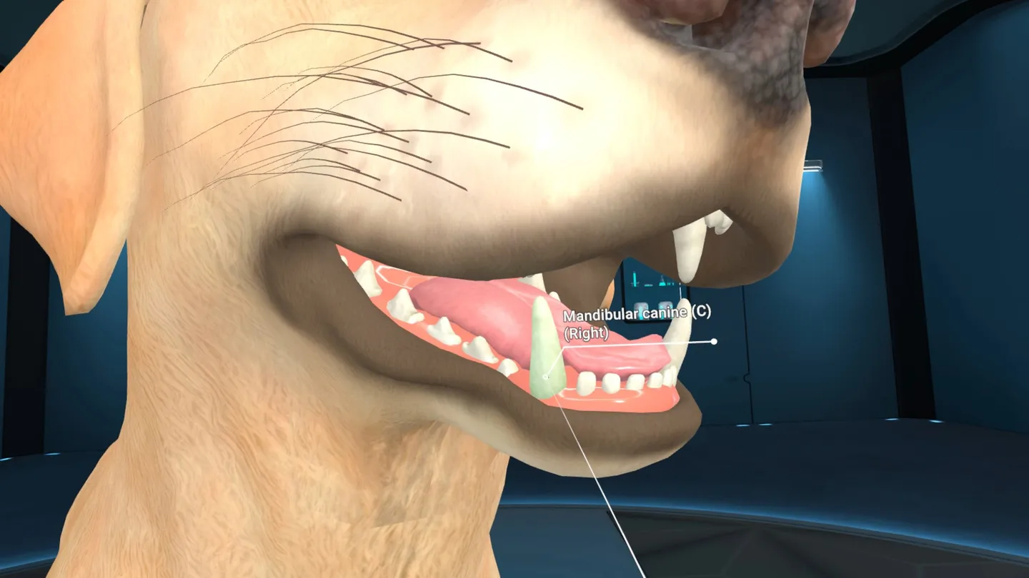 Animal Anatomy XR - تصویر 2