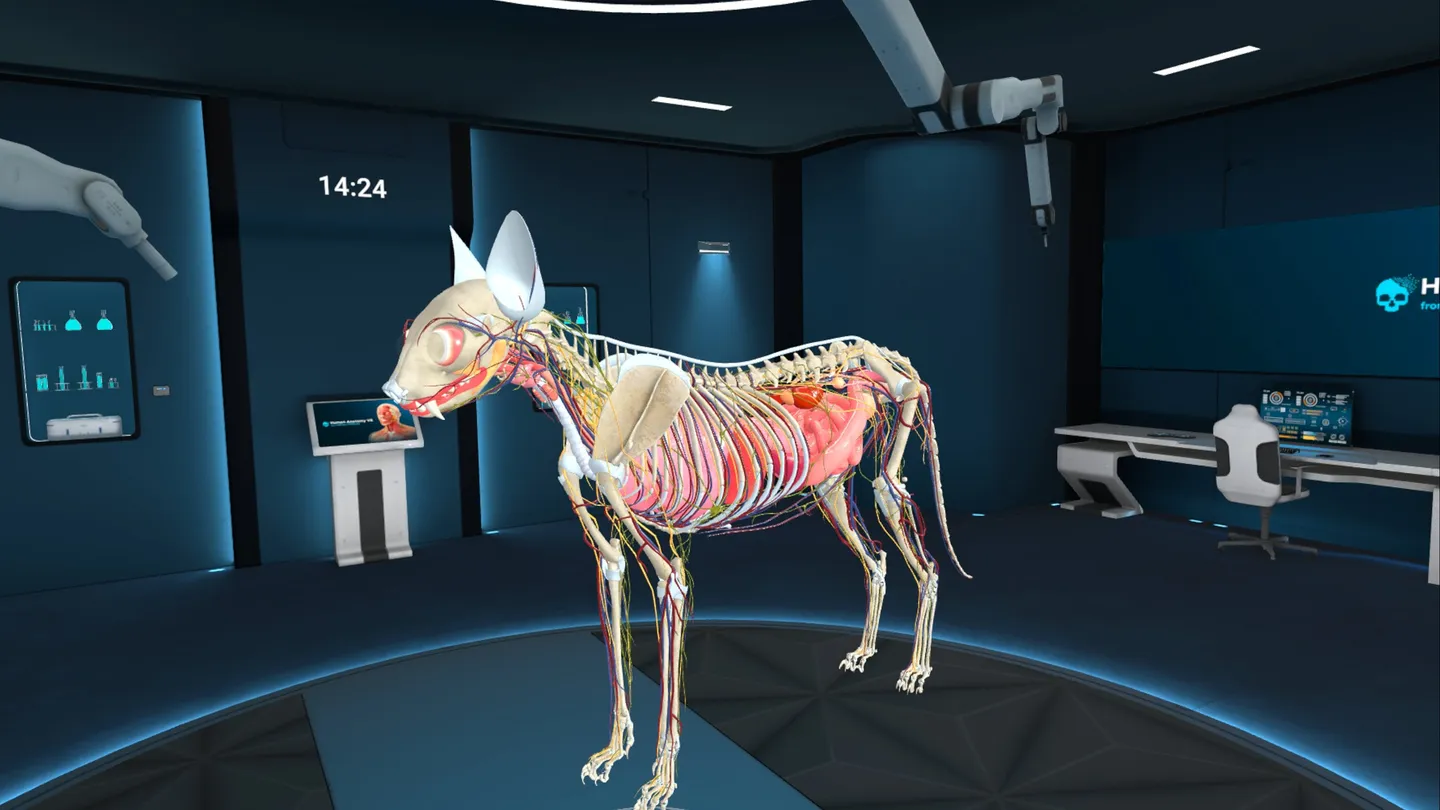 Animal Anatomy XR - تصویر 4