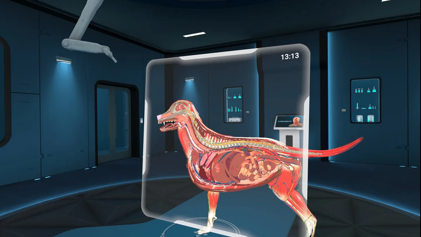 Animal Anatomy XR - تصویر 3