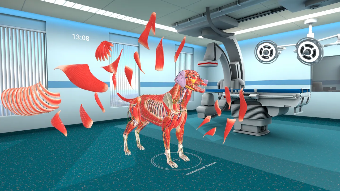 Animal Anatomy XR - تصویر 5