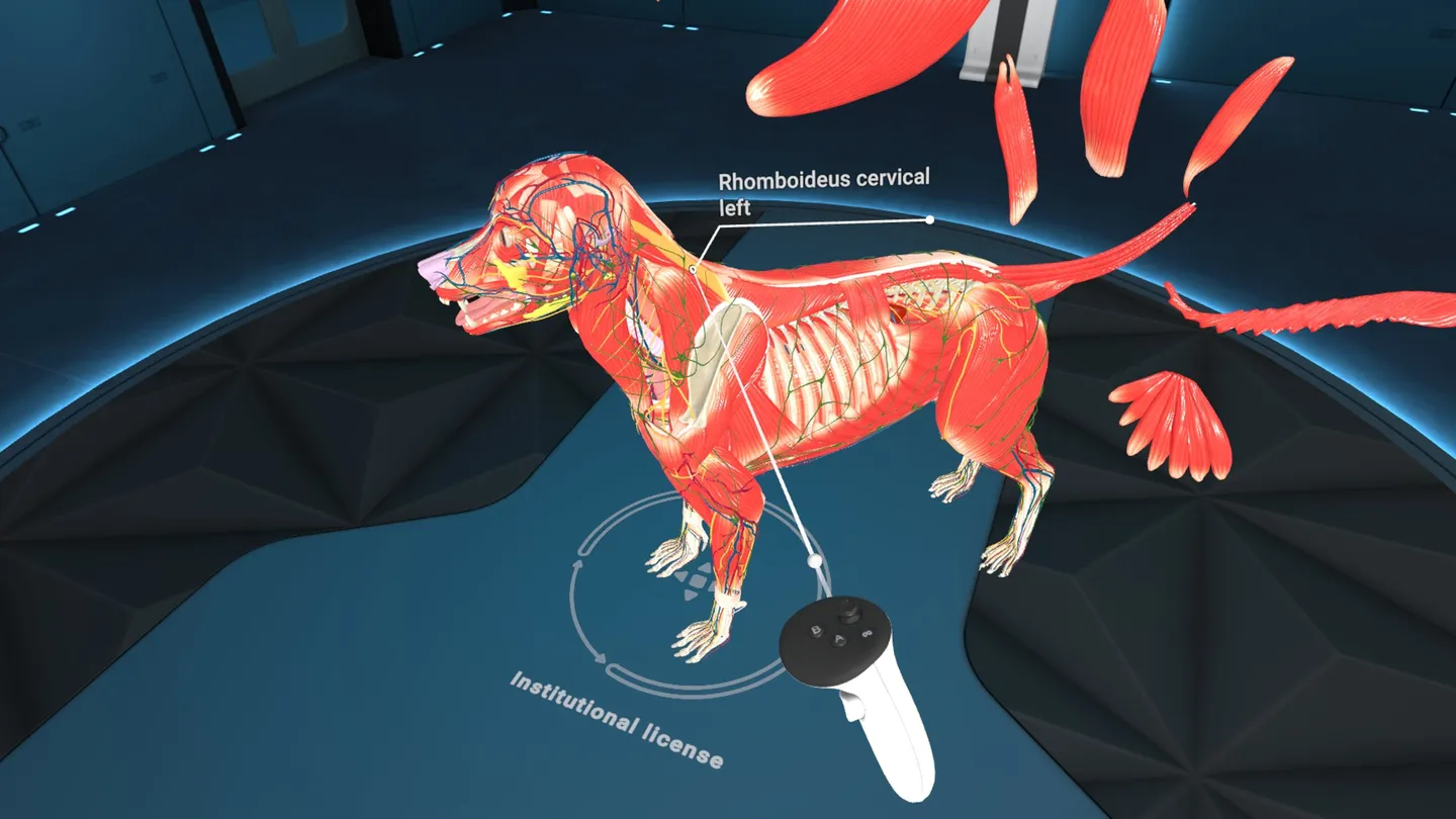 Animal Anatomy XR - تصویر 6